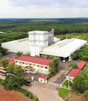 Dabaco Production Plant